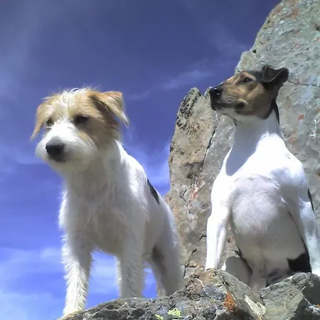 Appart hôtel Garni Tina Ischgl