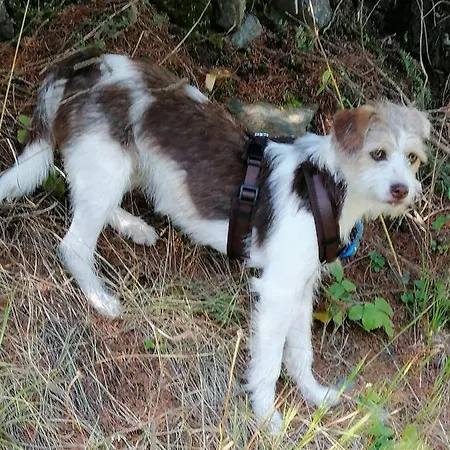 Appart hôtel Garni Tina 3*