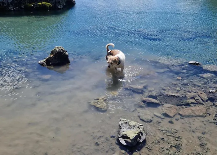 Garni Tina ايشجل